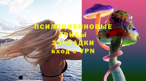 кокс Ладушкин