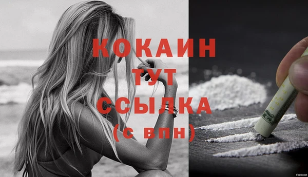 молекула духа Лагань