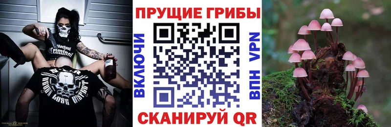 Псилоцибиновые грибы мицелий  Купить  Олёкминск 